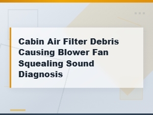 Diagnosing Blower Motor Squealing From Cabin Air Filter Debris