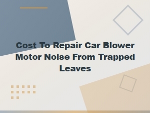 Cost to Repair Car Blower Motor Noise From Trapped Leaves
