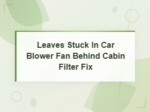 How to Remove Leaves Stuck in Your Car Blower Fan Behind the Cabin Filter