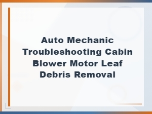 Cabin Rattling Diagnosis: Removing Leaf Debris From Your Blower Motor