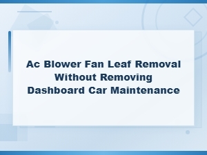 Ac Blower Fan Leaf Removal Without Removing Dashboard - Car Maintenance Guide