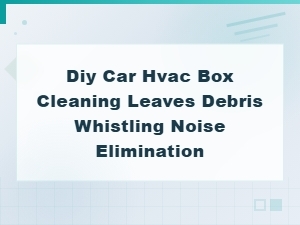 Diy Car Hvac Box Cleaning: Remove Leaves and Debris to Eliminate Whistling Noise