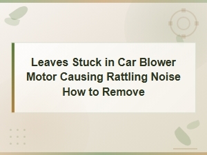 How to Remove Leaves Stuck in Your Car Blower Motor and Stop Rattling Noise