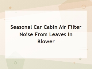 Seasonal Car Cabin Air Filter Noise From Leaves in Blower